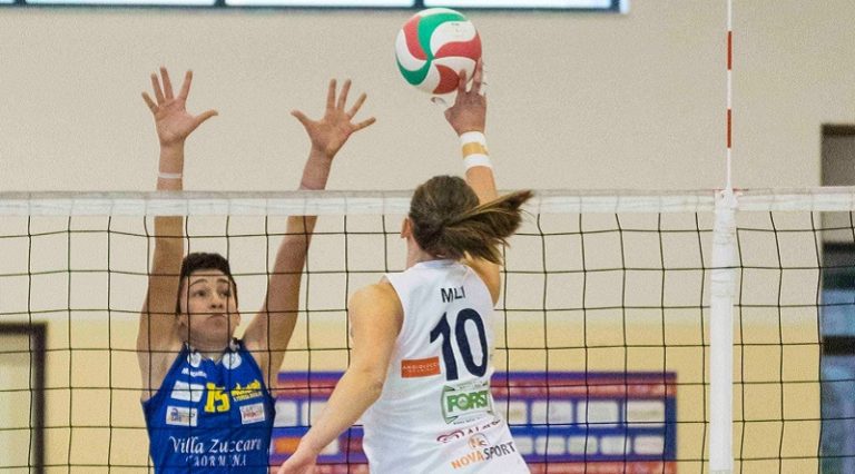 Amando Volley 12