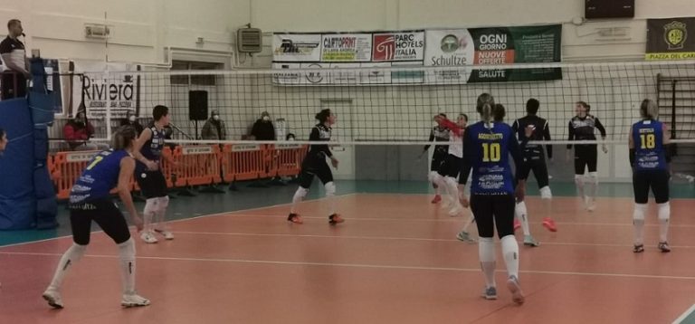 amando volley