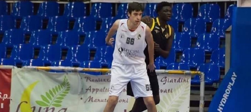 Basket Castanea -