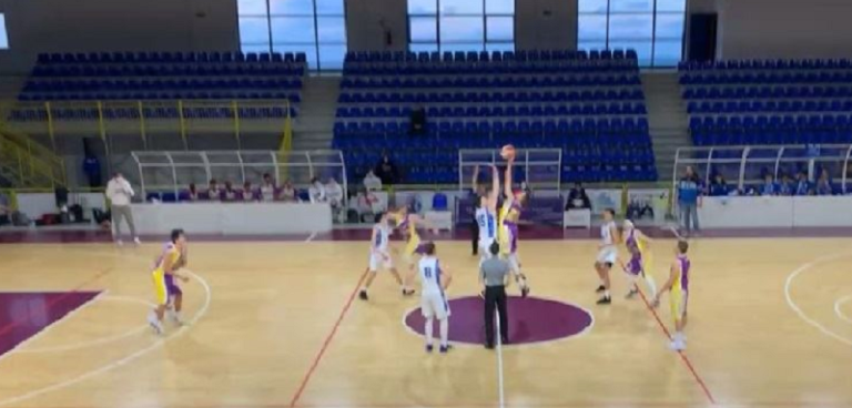 Castanea Basket