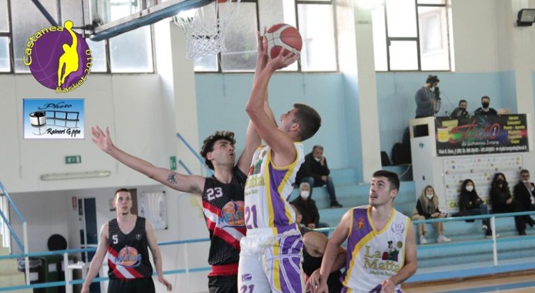 Castanea Basket 12