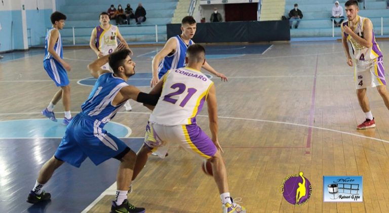Basket Castanea 12