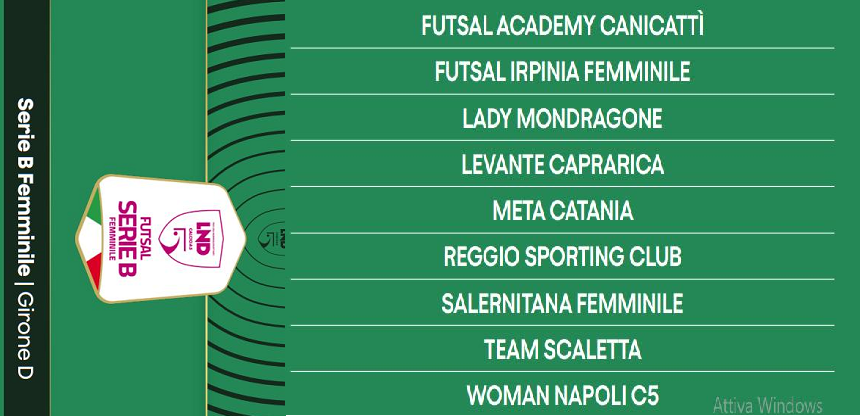 Team Scaletta 24-25 - Il girone D