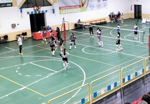 New Amando vs Torregrotta