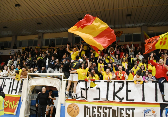 Messina Basket School-Viola Reggio Calabria